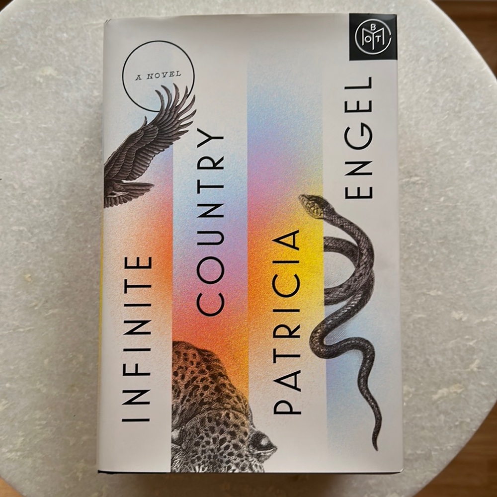 Infinite Country book by Patricia Engel